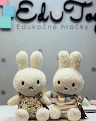 Miffy je rozkošný králik na hranie či maznanie do postieľky 🐰 Vyrobený z jemného plyšu je vždy po ruke pre hru aj...